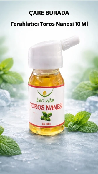 Ferahlatıcı Toros Nanesi 10 Ml ürün görseli 1