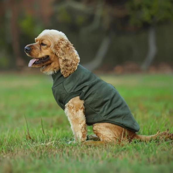 Kuccu Kuccu Soft Shell Köpek Kamuflaj Haki Small ürün görseli 1