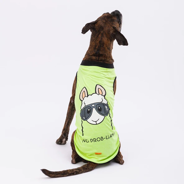 Pawstar No Prob Lama Büyük T-shirt Yeşil 6XLarge ürün görseli 1