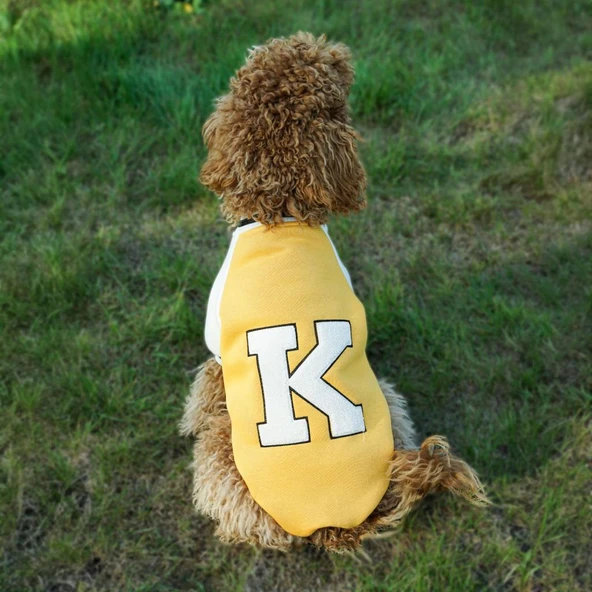 Kuccu Kuccu Kolej Köpek Sweatshirt Sarı XXLarge ürün görseli 1
