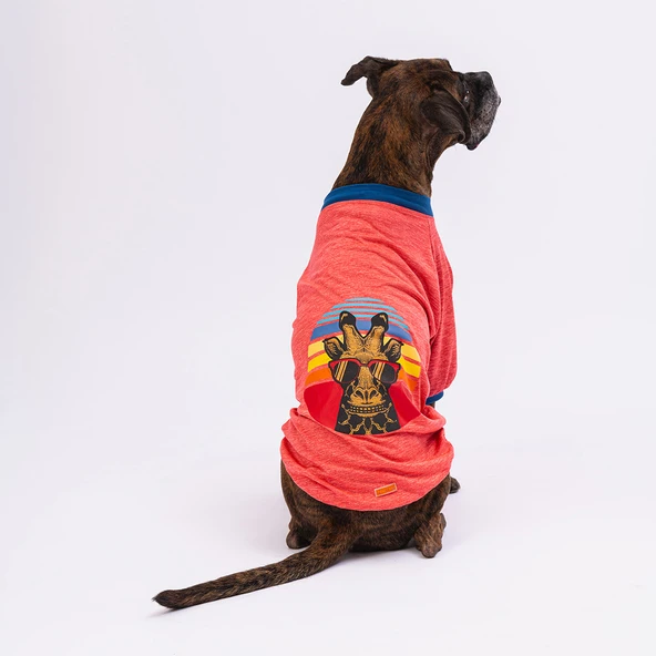 Pawstar Narçiçeği Giraffe Köpek Büyük Sweat 4XLarge ürün görseli 1
