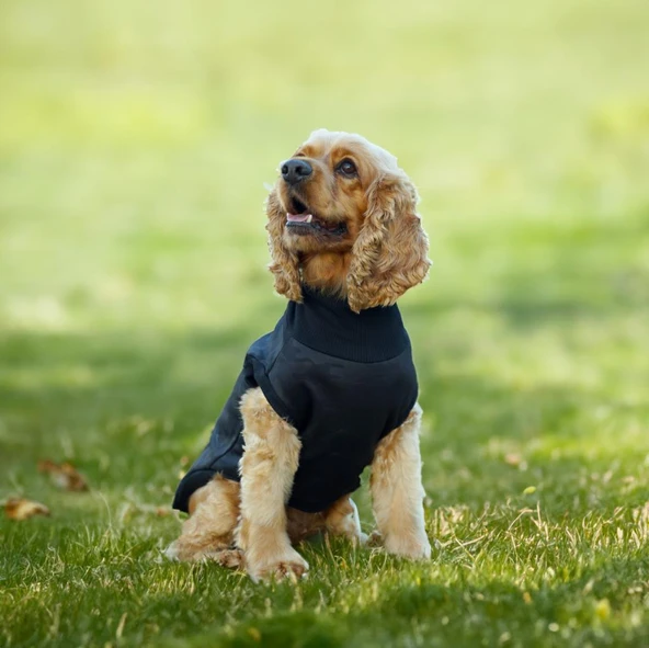 Kuccu Kuccu Soft Shell Köpek Kamuflaj Siyah XLarge ürün görseli 1