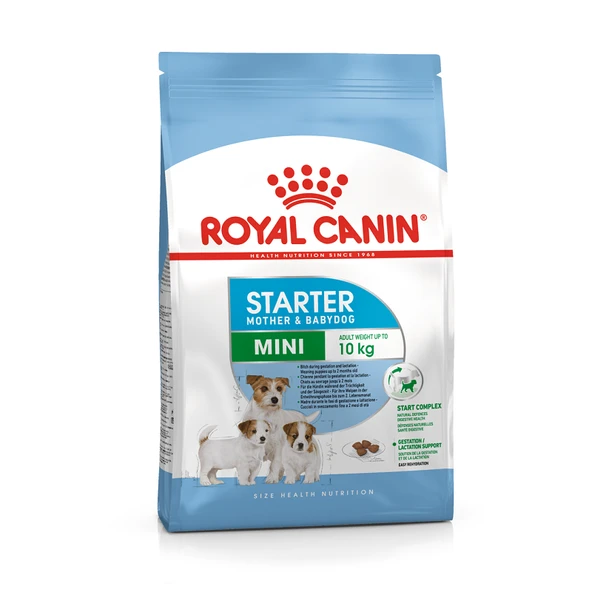 Royal Canin Mini Starter Yavru Kuru Köpek Maması 4 Kg ürün görseli 1