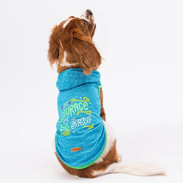 Pawstar Blue Style Hooded Köpek T-Shirt Large ürün görseli 1
