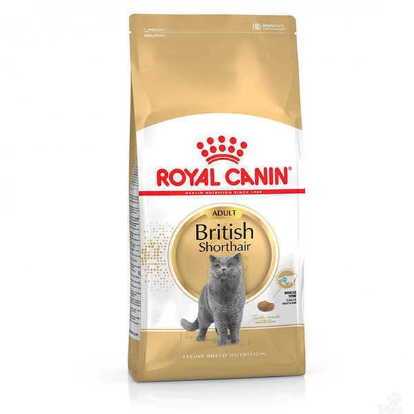 Royal Canin British Shorthair Kedi Maması 2 Kg ürün görseli 1