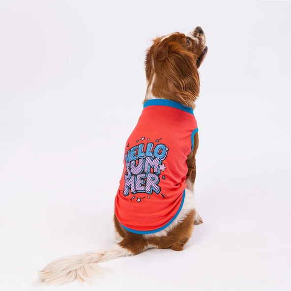 Pawstar Vermilion Hello Summer Köpek T-Shirt Medium ürün görseli 1