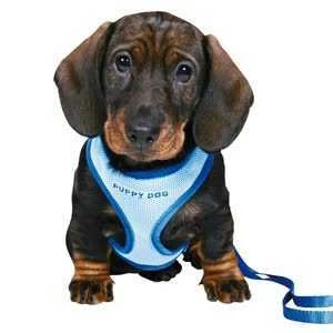 Trixie Yavru Köpek Göğüs Tasma Kayışı 23-34 Cm 2m/ 0mm ürün görseli 1