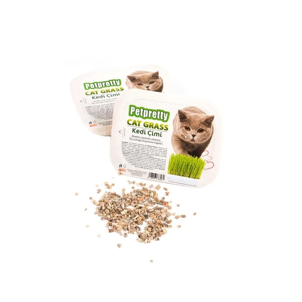 Pet Pretty Kedi Çimi Kedi Çimi ürün görseli 1