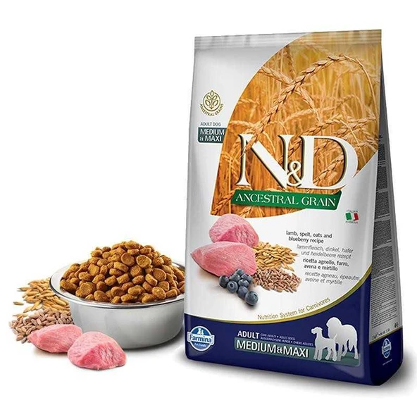 N&D Düşük Tahıllı Kuzulu Yaban Mersini Medium Maxi Köpek Maması 12 kg ürün görseli 1