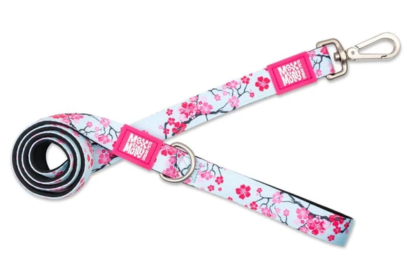 Max Molly Cherry Bloom Köpek Gezdirme Kayışı Small ürün görseli 1