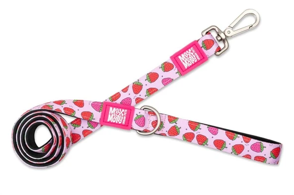 Max Molly Strawberry Dream Köpek Gezdirme Kayışı Small ürün görseli 1