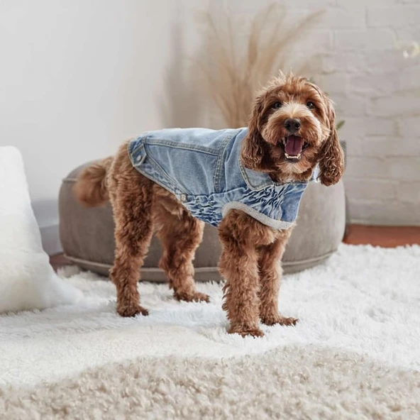 GF Pet 90's Köpek Kot Mont Medium - Resim 4