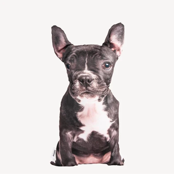 Lepus 3 Boyutlu Köpek Yastığı No 14 40x25 Cm ürün görseli 1