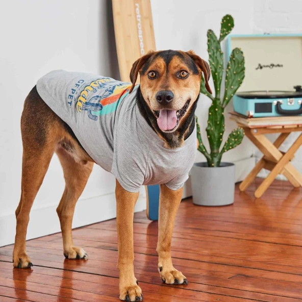 GF Pet Graphic Tee Köpek Tshirt Gri Medium - Resim 5