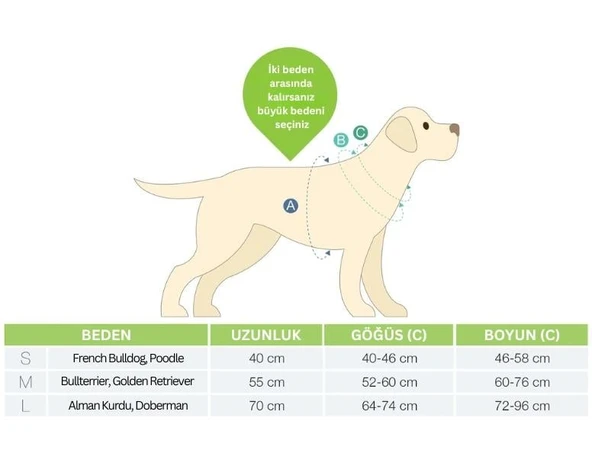 Max Molly Duckling Köpek Bornozu Pembe Medium - Resim 5