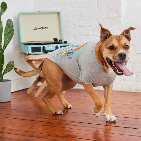 GF Pet Graphic Tee Köpek Tshirt Gri Large - Resim 4