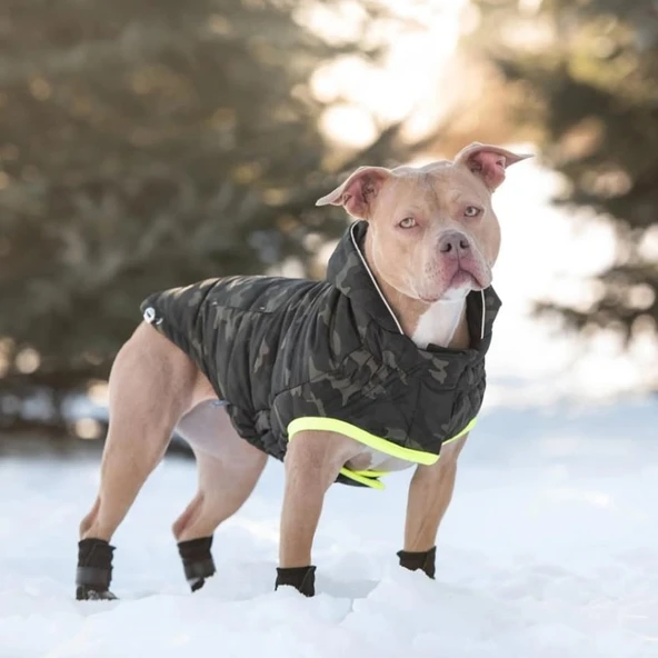 GF PET Camouflage Köpek Montu Small - Resim 6