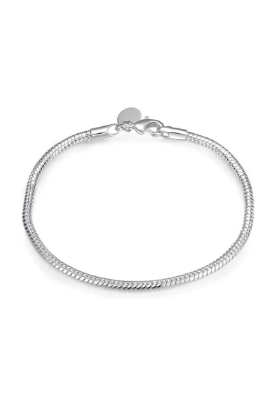 Bileklik 925 Ayar Gümüş Charm Takılabilir Kadın Erkek Unisex Gümüş Yılan Hediye ürün görseli 1