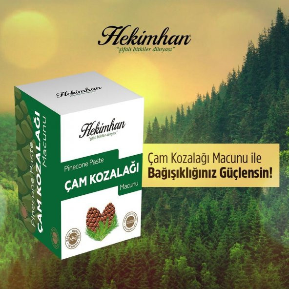 Hekimhan Çam Kozalağı Macunu 240 gram ürün görseli 1