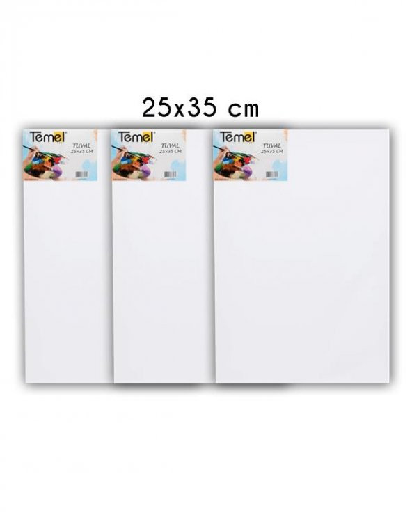 Temel 25x35 cm 3’lü Tuval - Resim 2