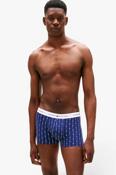 Tommy Hilfiger   3P TRUNK PRINT Erkek Sarı Boxer - UM0UM02768 ürün görseli 1