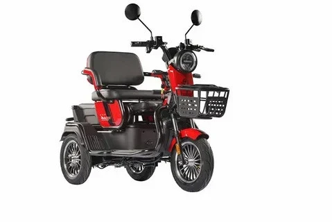 Motolux Fayton FX08 600 W 3 Tekerlekli Elektrikli Motosiklet ürün görseli 1