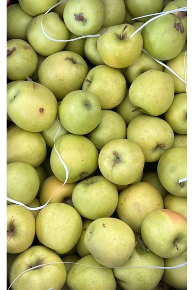 5M AHŞAP DEKOR Sarı elma (Golden delicious) 2 KG ürün görseli 1