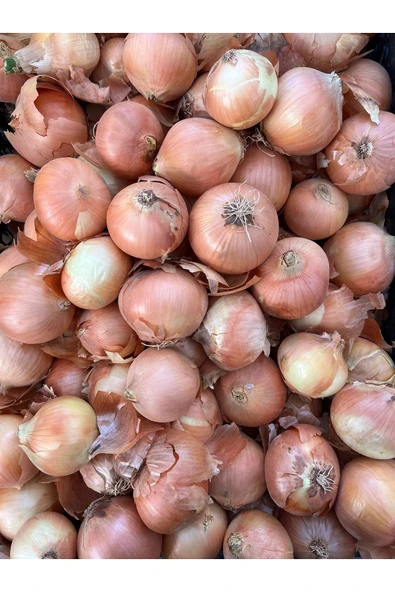 5M AHŞAP DEKOR KURU SOĞAN 2 KG ürün görseli 1