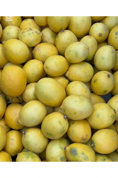 5M AHŞAP DEKOR SARI LİMON 4 KG ürün görseli 1