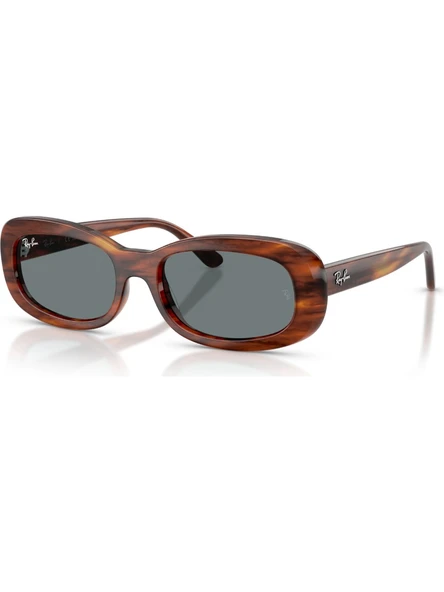 Ray-Ban RB 2221 954/62 53 Kadın Güneş Gözlüğü ürün görseli 1