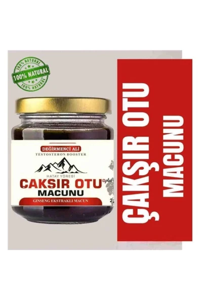 Xlan Değirmenci Ali Çakışır Otu Macunu 240 gr 240 gr ürün görseli 1