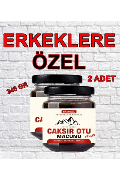 Xlan Erkeklere Özel 24 Saat Etkili Hatay Yöresi Çakır Otu Macunu 240 gr X 2 Adet ürün görseli 1