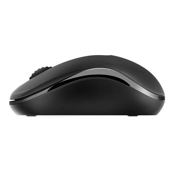 RAPOO M10 PLUS 13354 KABLOSUZ MOUSE - Resim 3