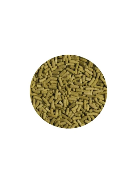 Tropical Biorept L 100gr (Açık) Kaplumbağa Yemi Orjinal Paketinden alınarak Gönderilir Skt:10/2028 ürün görseli 1
