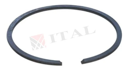 PİSTON SEGMANI 1,2 38 MM ALP ürün görseli 1