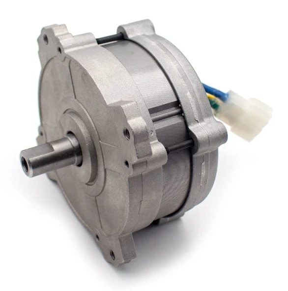 W5217GCg-a Neodimyum Yüksek Tork Brushless Motor 36V ürün görseli 1