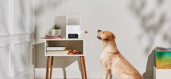 Petcube Bites 2 Lite ürün görseli 1
