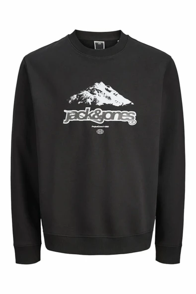 Jack Jones Flare Front Prınt Relax Fit Erkek Sweat 12285680 ürün görseli 1