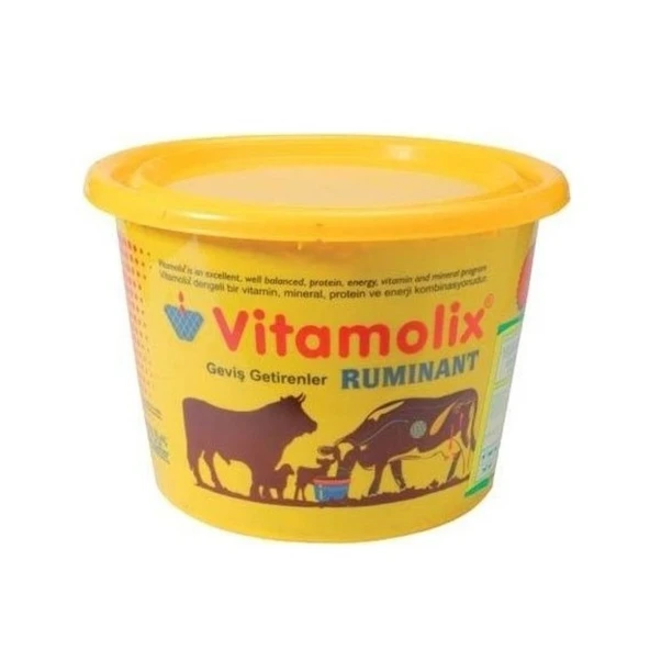 Vitamolix Ruminant 25 Kg ürün görseli 1
