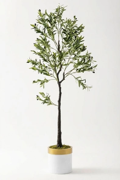 Yapay Zeytin Ağacı 175 Cm Beyaz Gold Metal Saksı ürün görseli 1