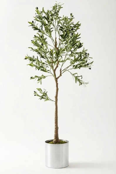 Yapay Zeytin Ağacı 175 Cm Metal Saksı ürün görseli 1