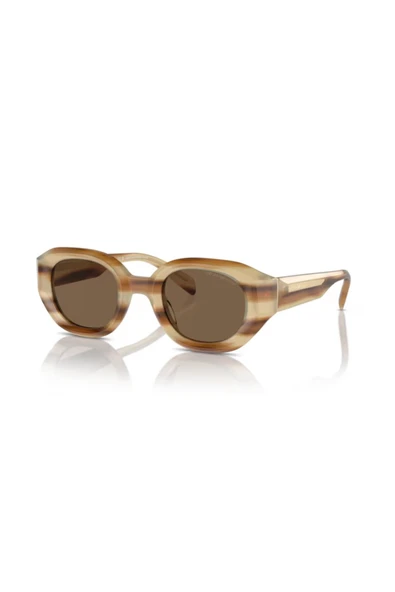Emporio Armani EA4230U 615073 48 Erkek Güneş Gözlüğü ürün görseli 1