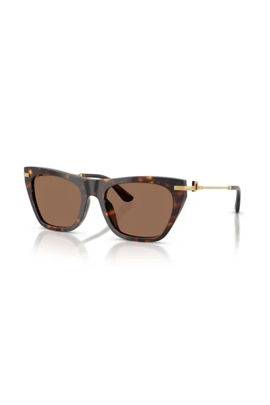 Dolce&Gabbana Dolce Gabbana DG4511 502 73 55 Kadın Güneş Gözlüğü ürün görseli 1