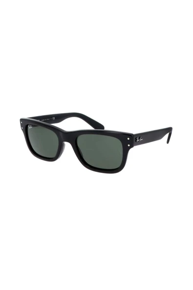 Ray-Ban RB 2283 901 31 52 Erkek Güneş Gözlüğü ürün görseli 1