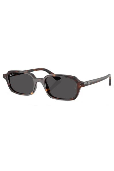 Ray-Ban Güneş Gözlüğü RB4455 49 135987 ürün görseli 1