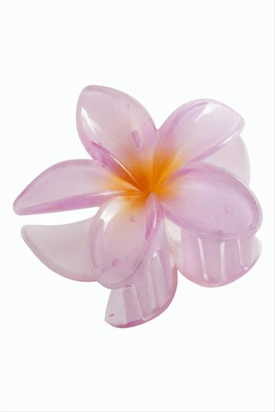 Lotus Toka 8 cm - Resim 3