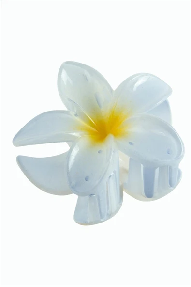 Lotus Toka 8 cm - Resim 8