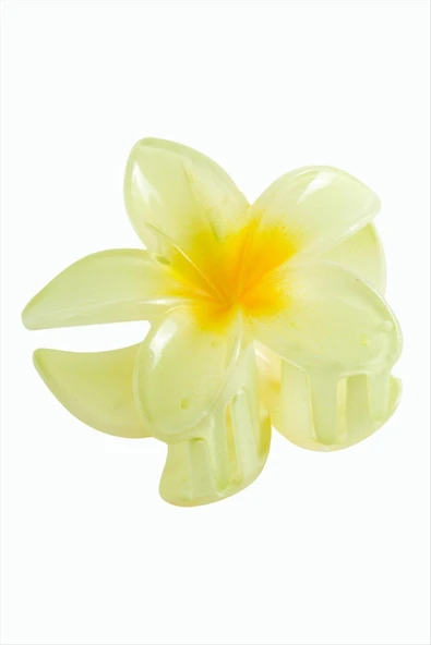 Lotus Toka 8 cm - Resim 10