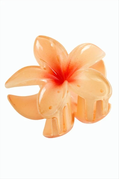 Lotus Toka 8 cm - Resim 9