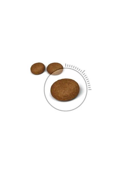 Royal Canin Hairball Care 2 kg ürün görseli 1
